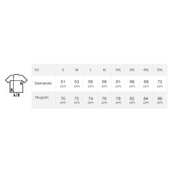 Anatomia serce 2